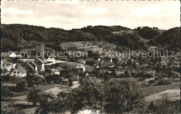 Wald-Erlenbach Panorama