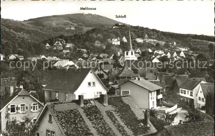 Alsbach Bergstrasse Ortsansicht Melibocus Schloss
