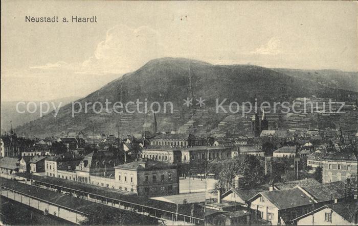 Neustadt Haardt Panorama