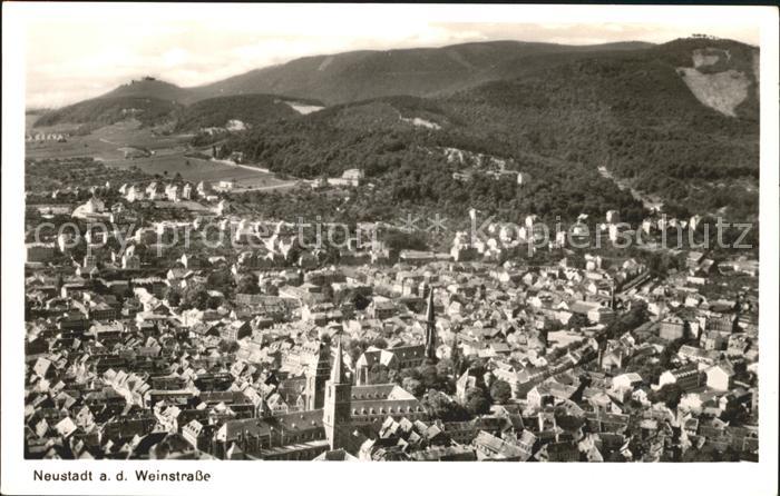 Neustadt Weinstrasse Fliegeraufnahme