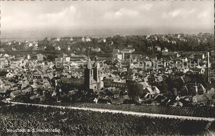 Neustadt Weinstrasse Panorama