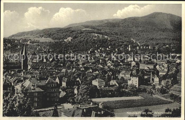 Neustadt Weinstrasse Totalansicht