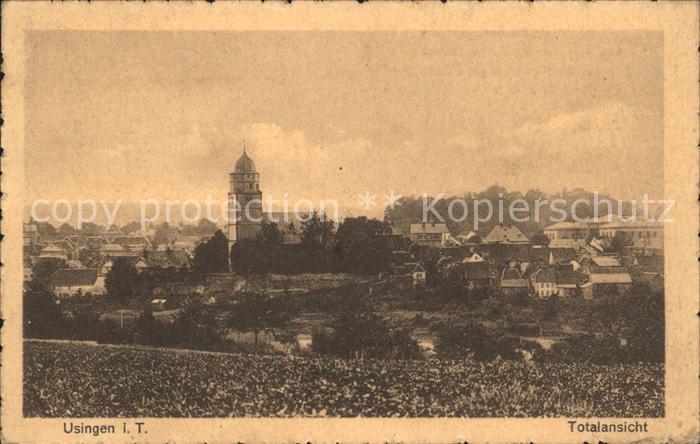 Usingen Totalansicht