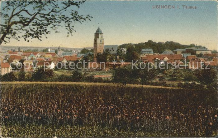 Usingen Stadtblick