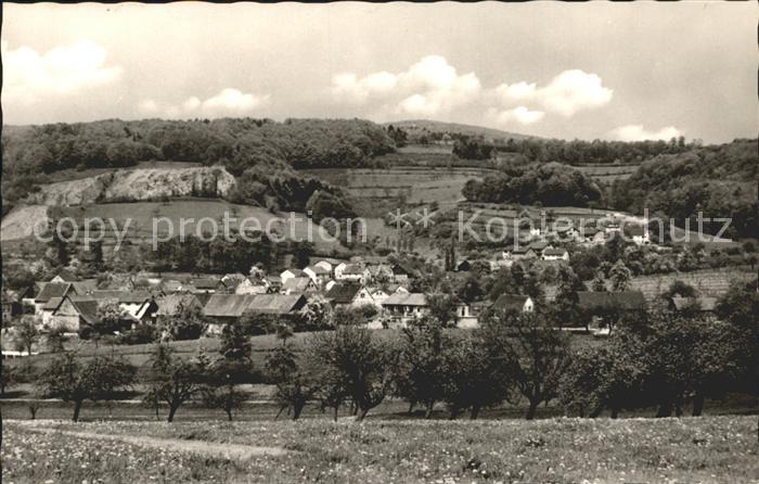 Erlenbach Bergstrasse Totalansicht