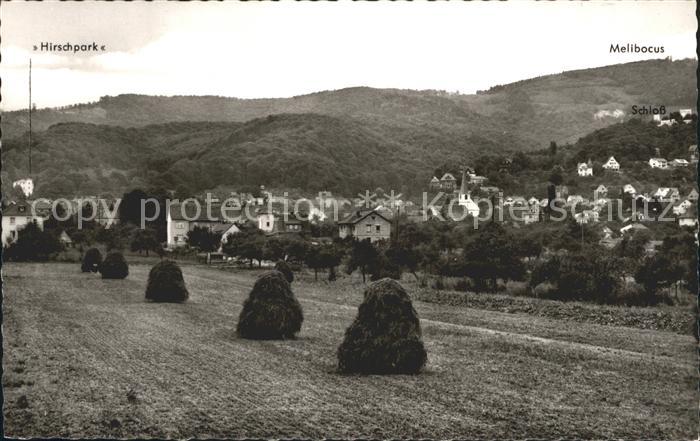 Alsbach Bergstrasse mit Hirschpark und Melibocus