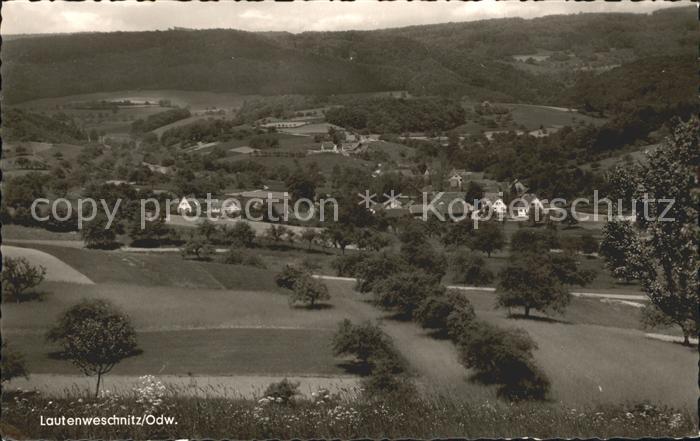 Lauten-Weschnitz Panorama