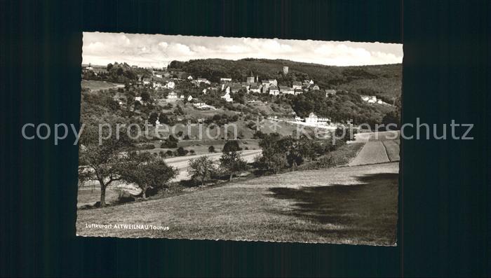 Altweilnau Totalansicht