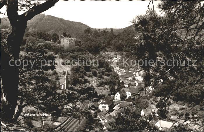 Frankenstein Pfalz Ortsblick