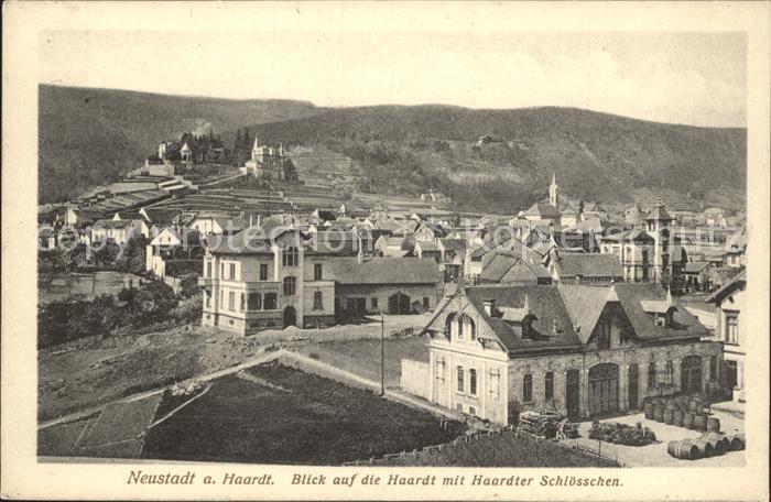 Neustadt Haardt Ortsblick mit Haardter Schloesschen