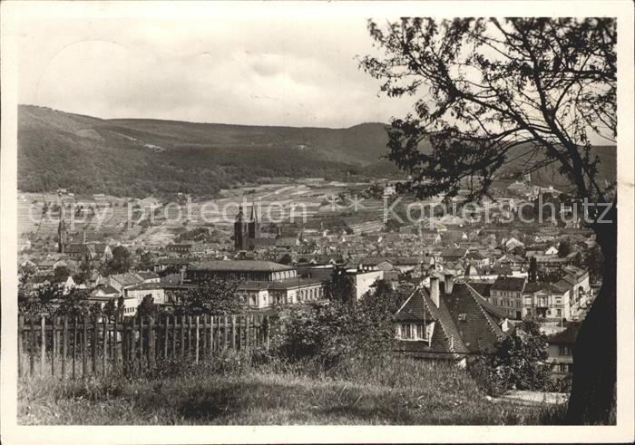 Neustadt Weinstrasse Panorama