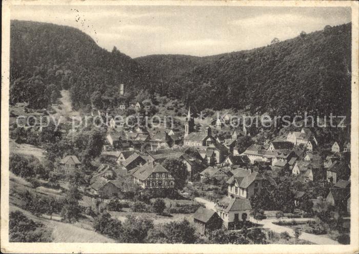 Elmstein im Pfaelzerwald Totalansicht