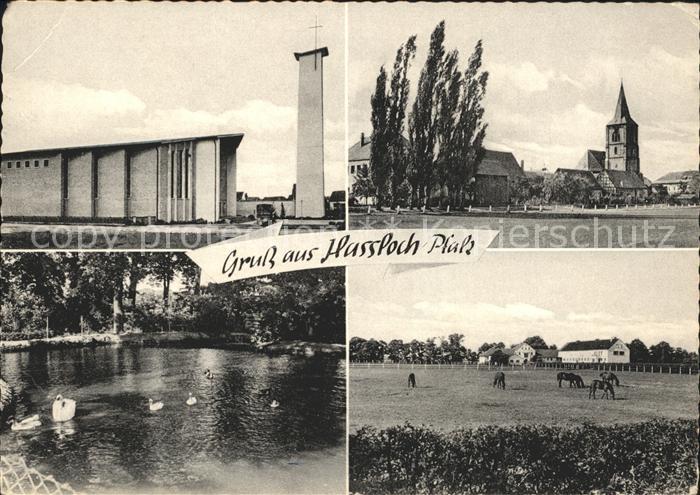 Hassloch Pfalz Kirchen Schwanenteich Pferdekoppel