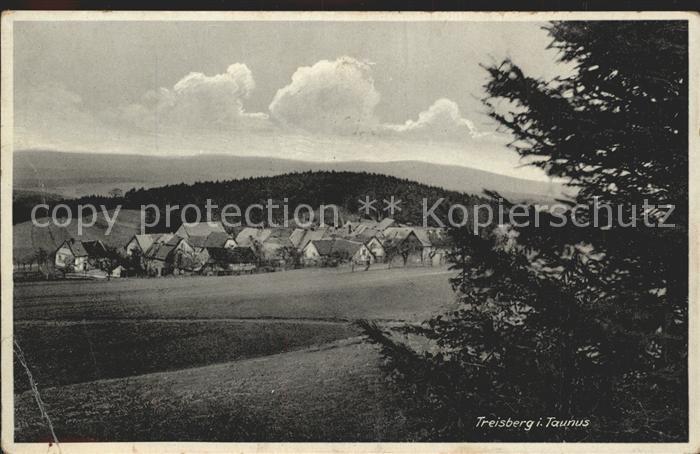 Treisberg Gesamtansicht Pension Taunushoehe