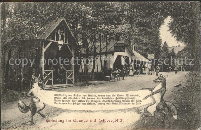 Koenigstein Taunus Fuchstanz im Taunus mit Feldbergblick