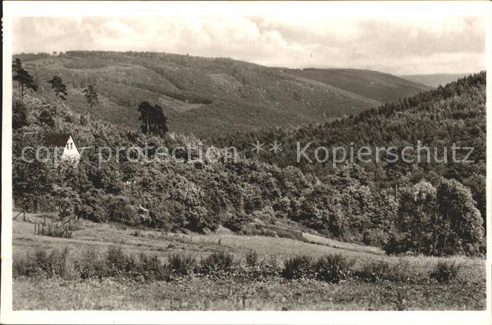 Vielbrunn Blick ins Ohrenbachtal