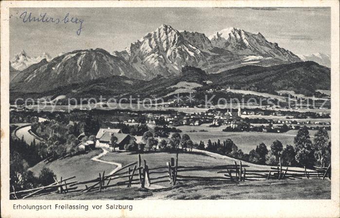 Freilassing Panorama