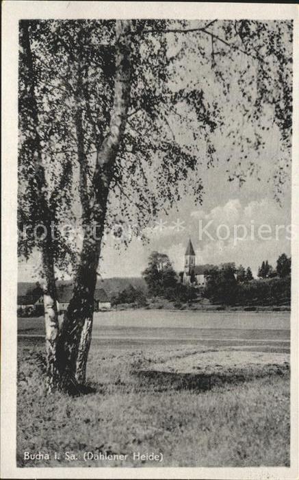 Bucha Dahlen Dahlener Heide