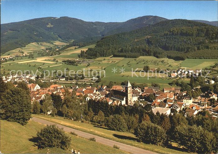 Elzach Panorama