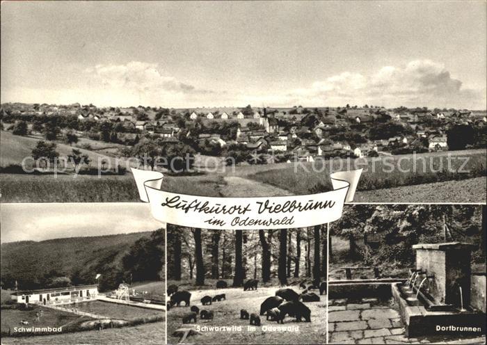 Vielbrunn Panorama Schwimmbad Schwarzwild Dorfbrunnen