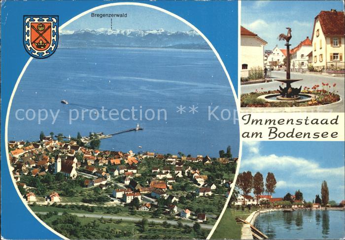 Immenstaad Bodensee Fliegeraufnahme Dorfpartie Strandpromenade