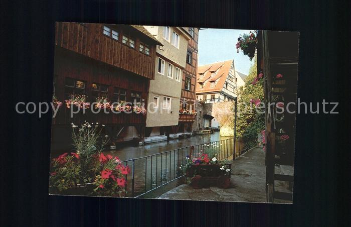 Ulm Donau Partie an der Blau