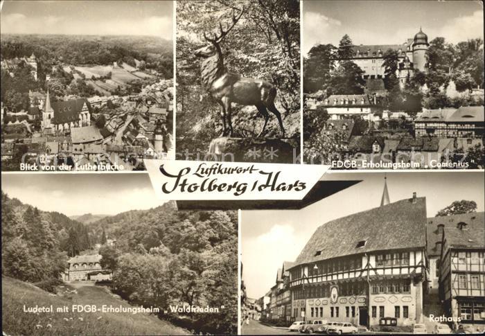 Stolberg Harz Blick von der Lutherbuche FDGB Erholungsheim Rathaus Hirsch Skulpt