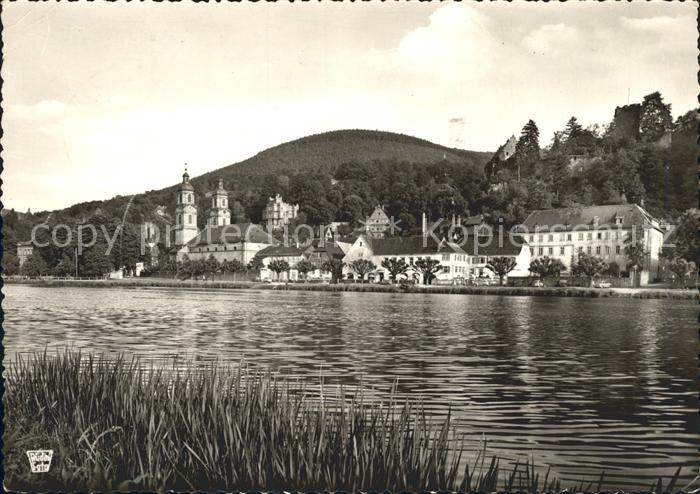 Miltenberg Main Mainlandschaft Burg Katholische Pfarrkirche