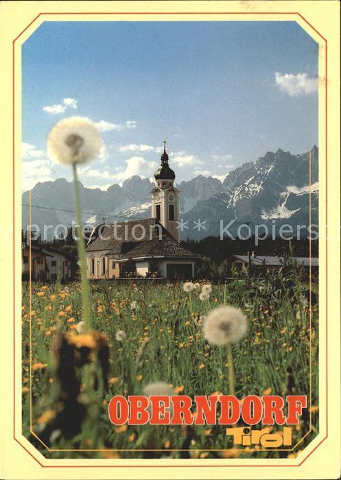 Oberndorf Tirol Blumenwiese Kirche Wilder Kaiser