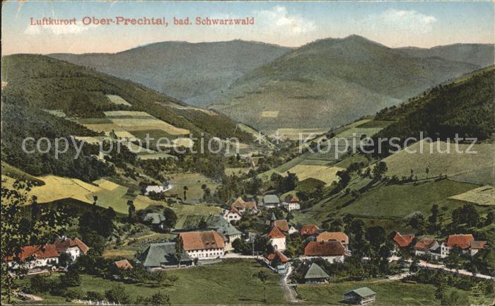 Oberprechtal Panorama