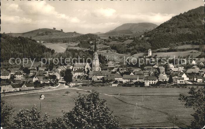 Schoenau Schwarzwald Panorama