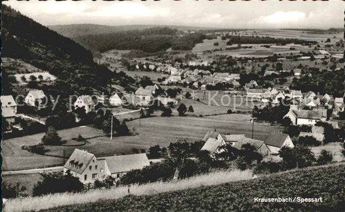 Krausenbach Totalansicht