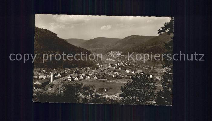 Calmbach Enz Totalansicht