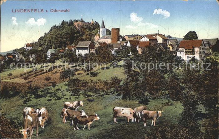 Lindenfels Odenwald Ortsansicht Viehweide