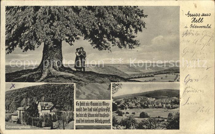 Zell Odenwald Alter Baum Genesungsheim Totalansicht