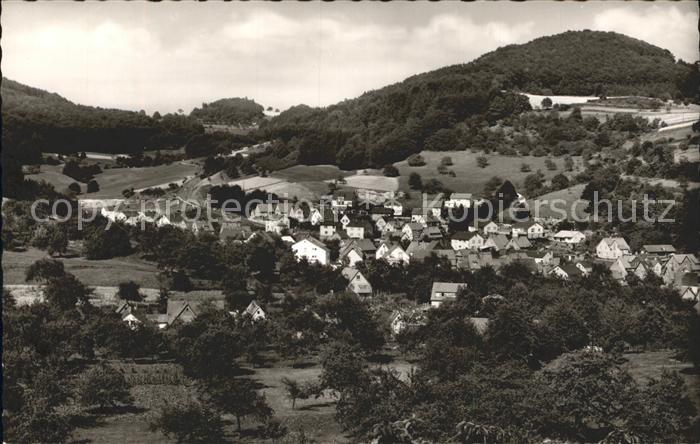 Reichenbach Odenwald Totalansicht