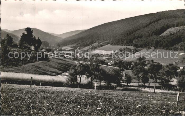 Schoellenbach Panorama