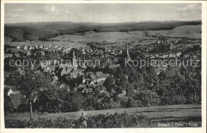 Erbach Odenwald Totalansicht