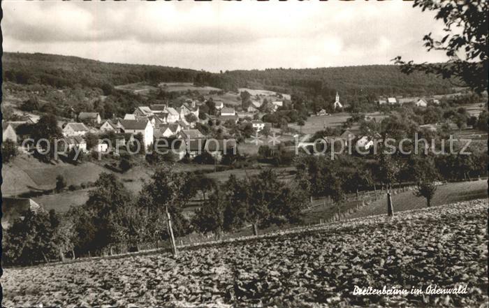 Breitenbrunn Odenwald Panorama