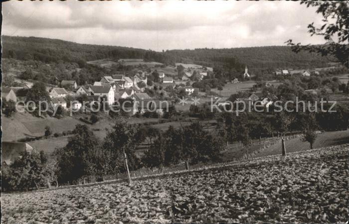 Breitenbrunn Odenwald Totalansicht