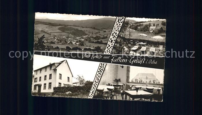 Falkengesaess Odenwald Panorama Gasthaus Pension Zur Rose Gaststube