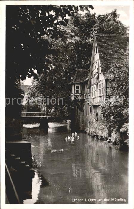 Erbach Odenwald Partie an der Muemling