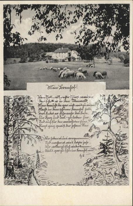 Bremhof Odenwald Gasthaus Pension Johs Stier Schafherde