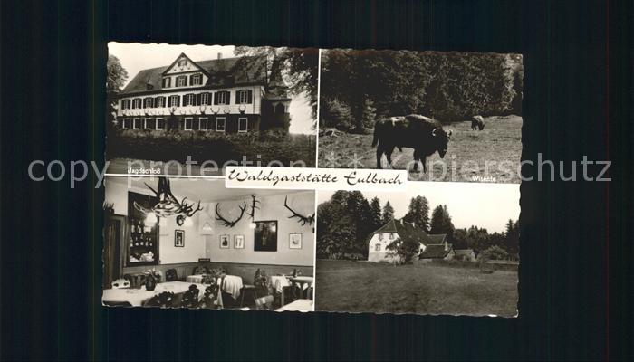 Eulbach Jagdschloss Waldgaststaette Eulbach Wiesente Gaststube