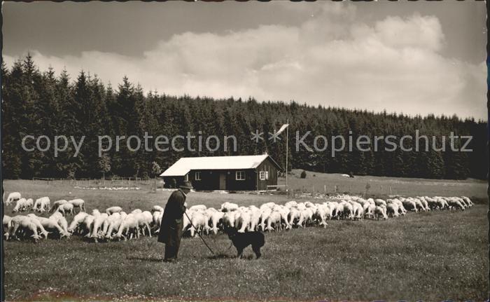 Ebingen Naturfreundehaus Richard Joner Heim Schafherde