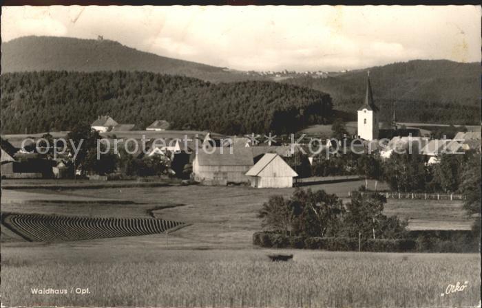 Waldhaus Regen Ortsansicht Kirche