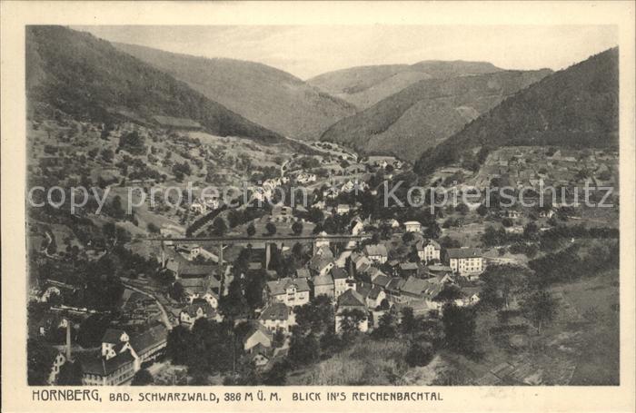 Hornberg Schwarzwald im Reichenbachtal