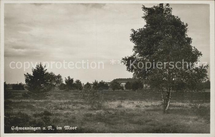Schwenningen Neckar Im Moor