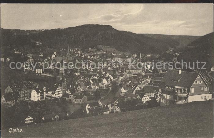 Calw Totalansicht
