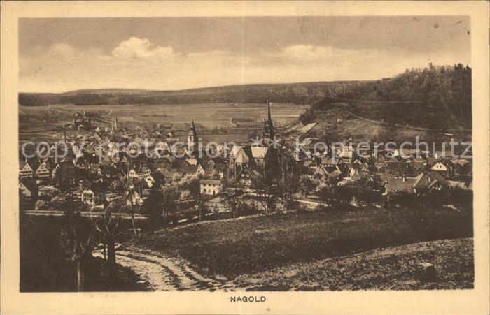 Nagold Totalansicht